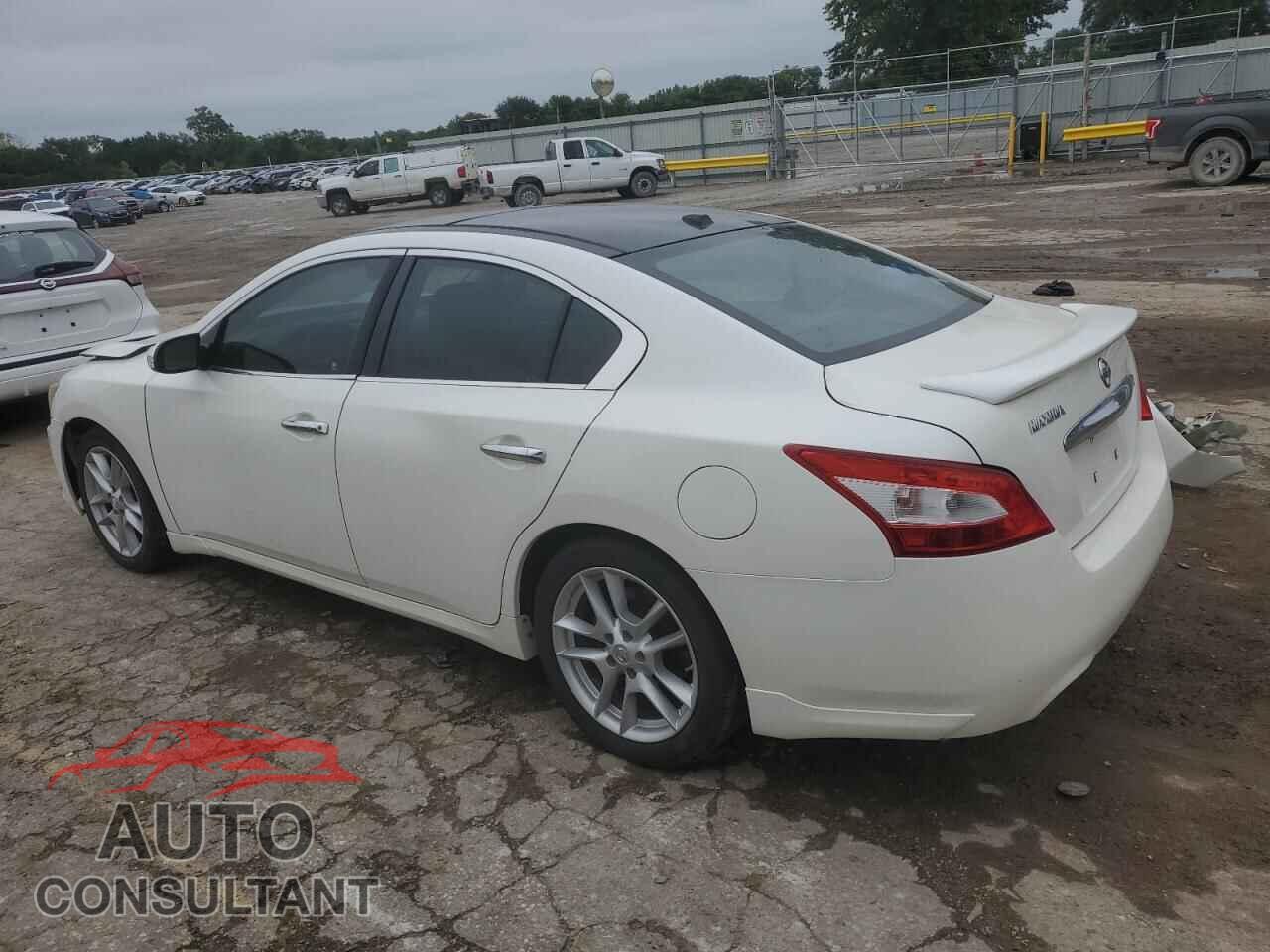 NISSAN MAXIMA 2009 - 1N4AA51E49C845704