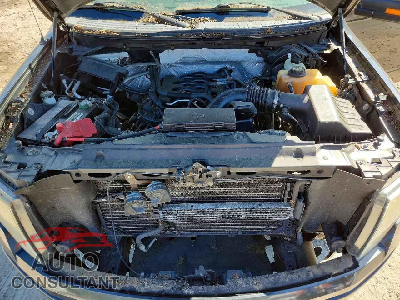 FORD F150 2011 - 1FTFX1EF8BFB19908