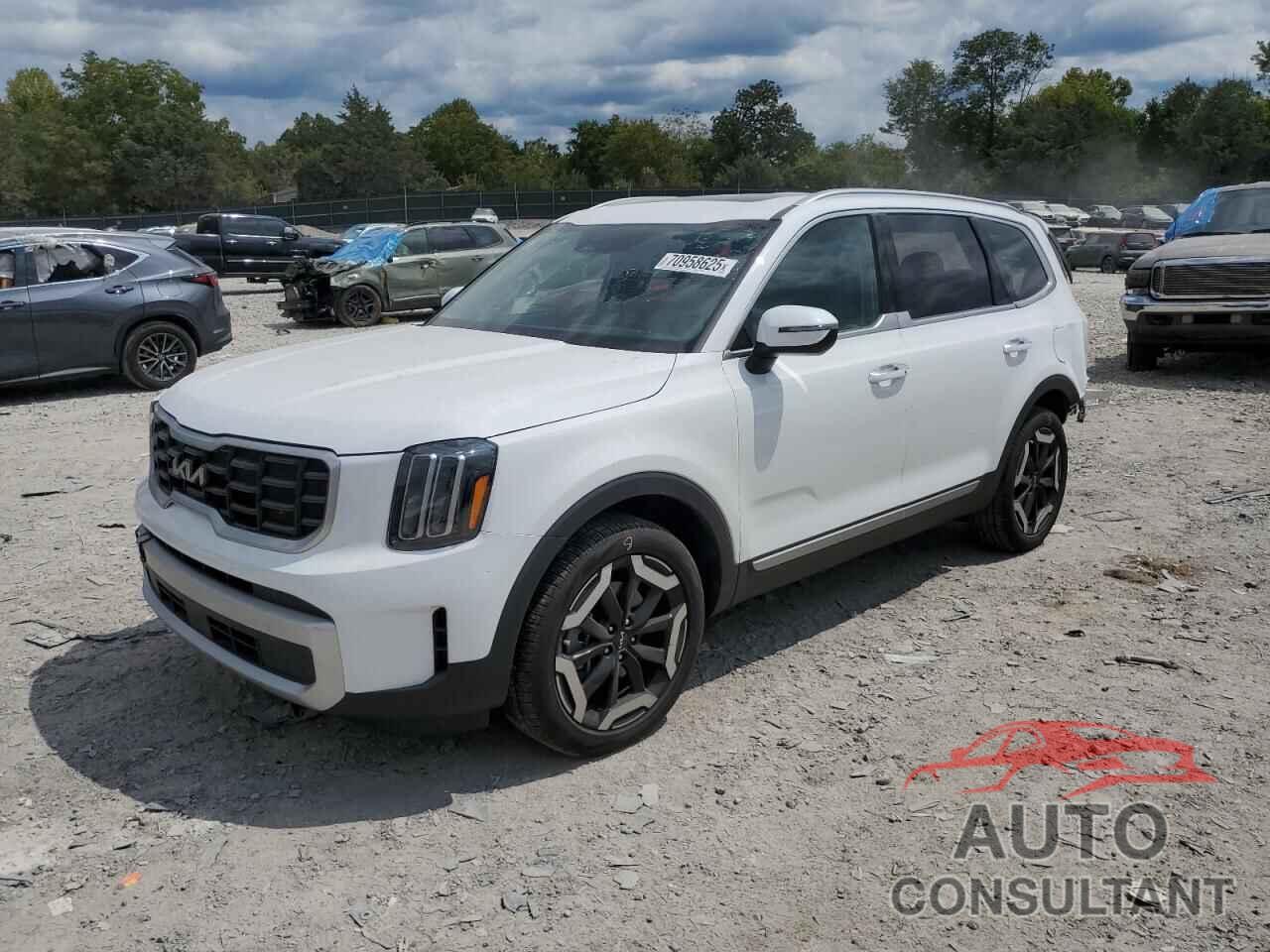 KIA TELLURIDE 2024 - 5XYP6DGC3RG464900