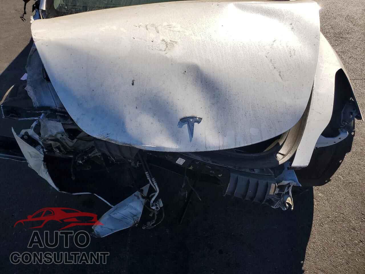 TESLA MODEL 3 2019 - 5YJ3E1EA3KF330998