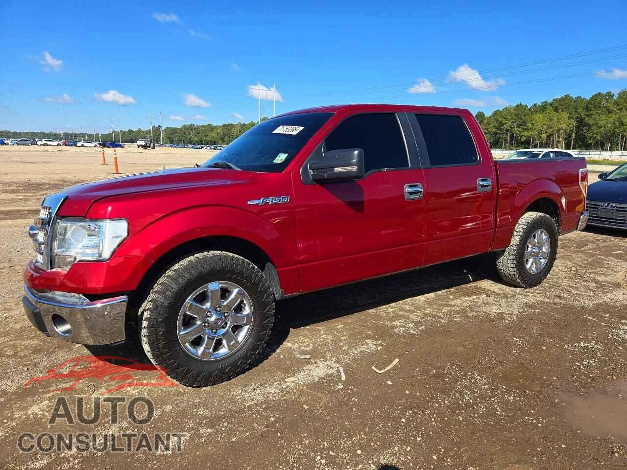 FORD F150 2013 - 1FTEW1CM2DFD63217