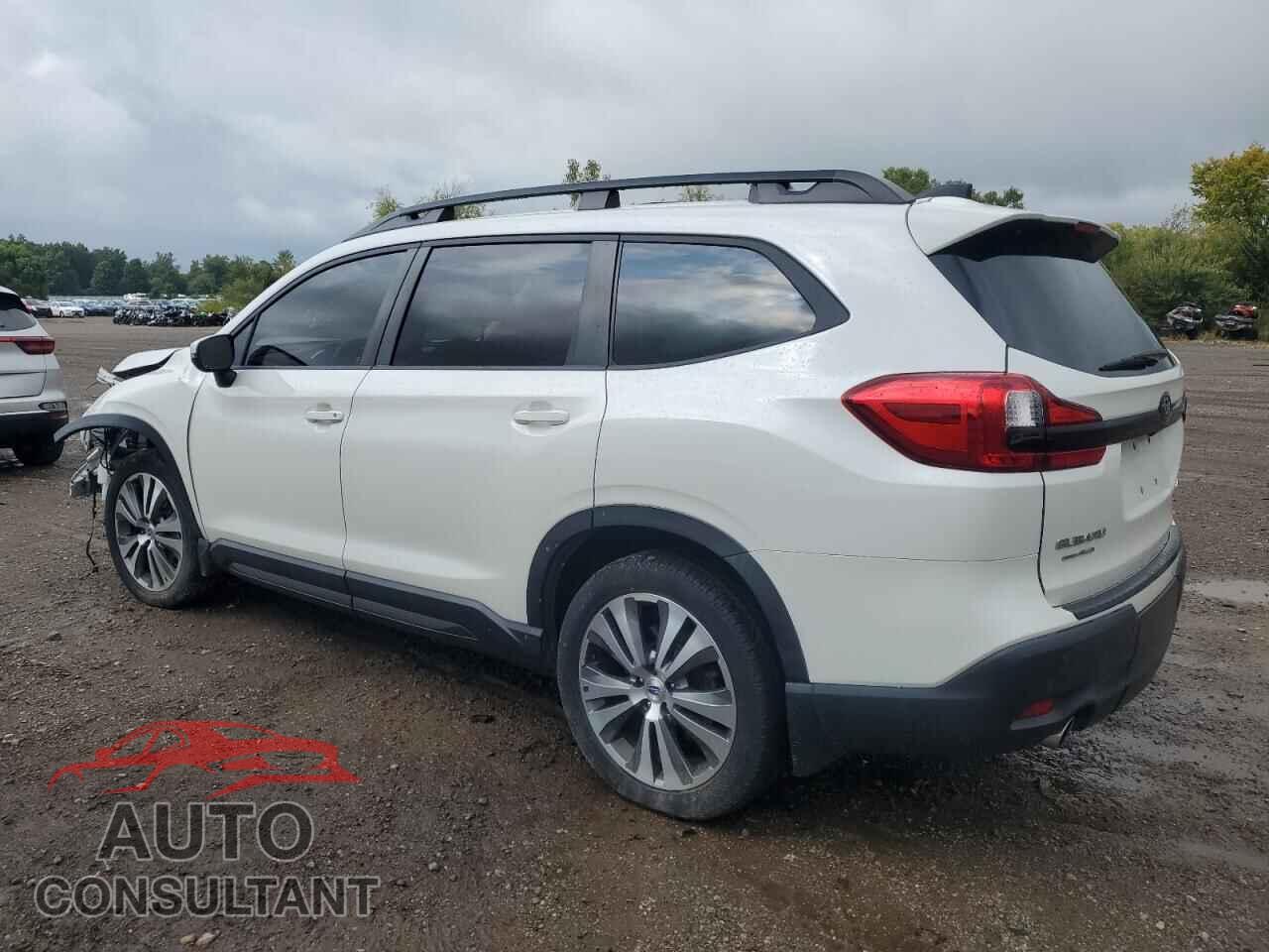 SUBARU ASCENT 2019 - 4S4WMAPD6K3436894