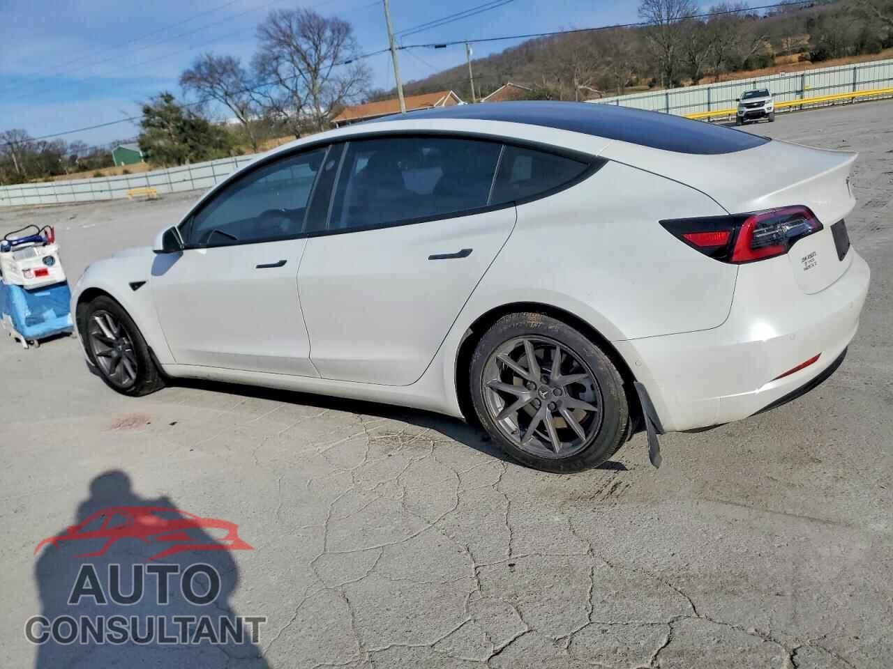 TESLA MODEL 3 2021 - 5YJ3E1EA2MF854341