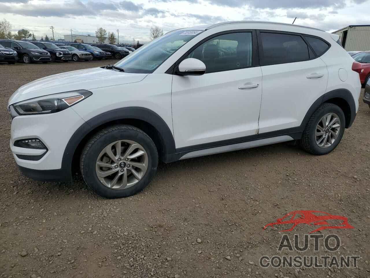 HYUNDAI TUCSON 2017 - KM8J3CA42HU484879