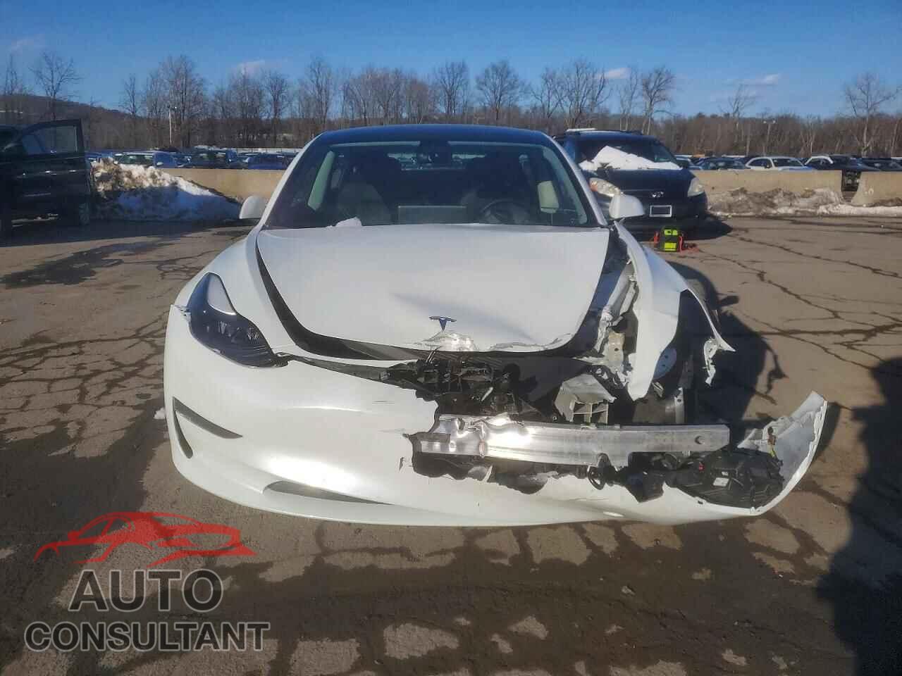 TESLA MODEL 3 2022 - 5YJ3E1EA3NF313171