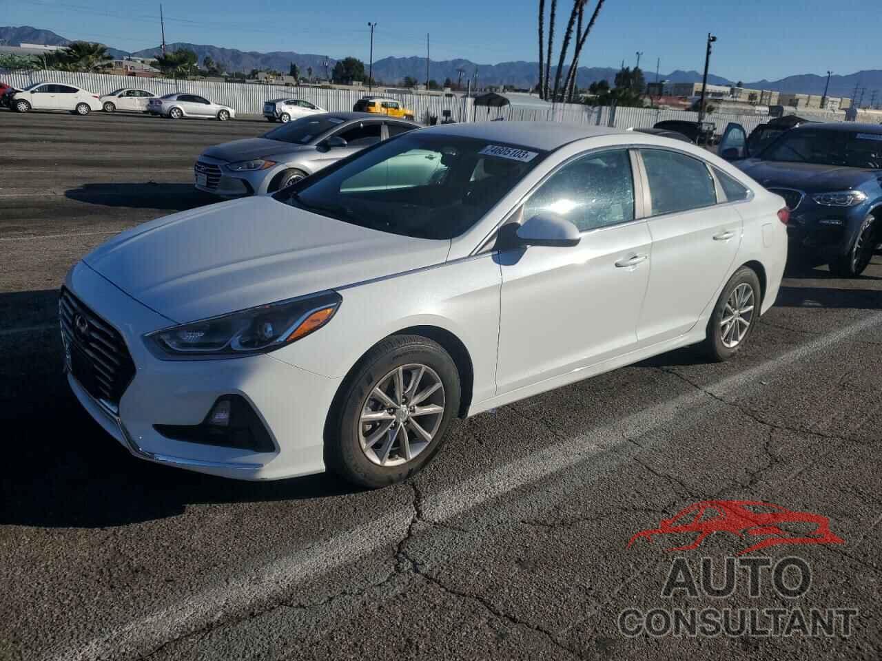 HYUNDAI SONATA 2019 - 5NPE24AF0KH795213
