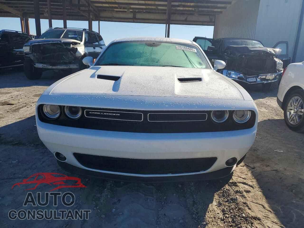 DODGE CHALLENGER 2019 - 2C3CDZAG4KH759545