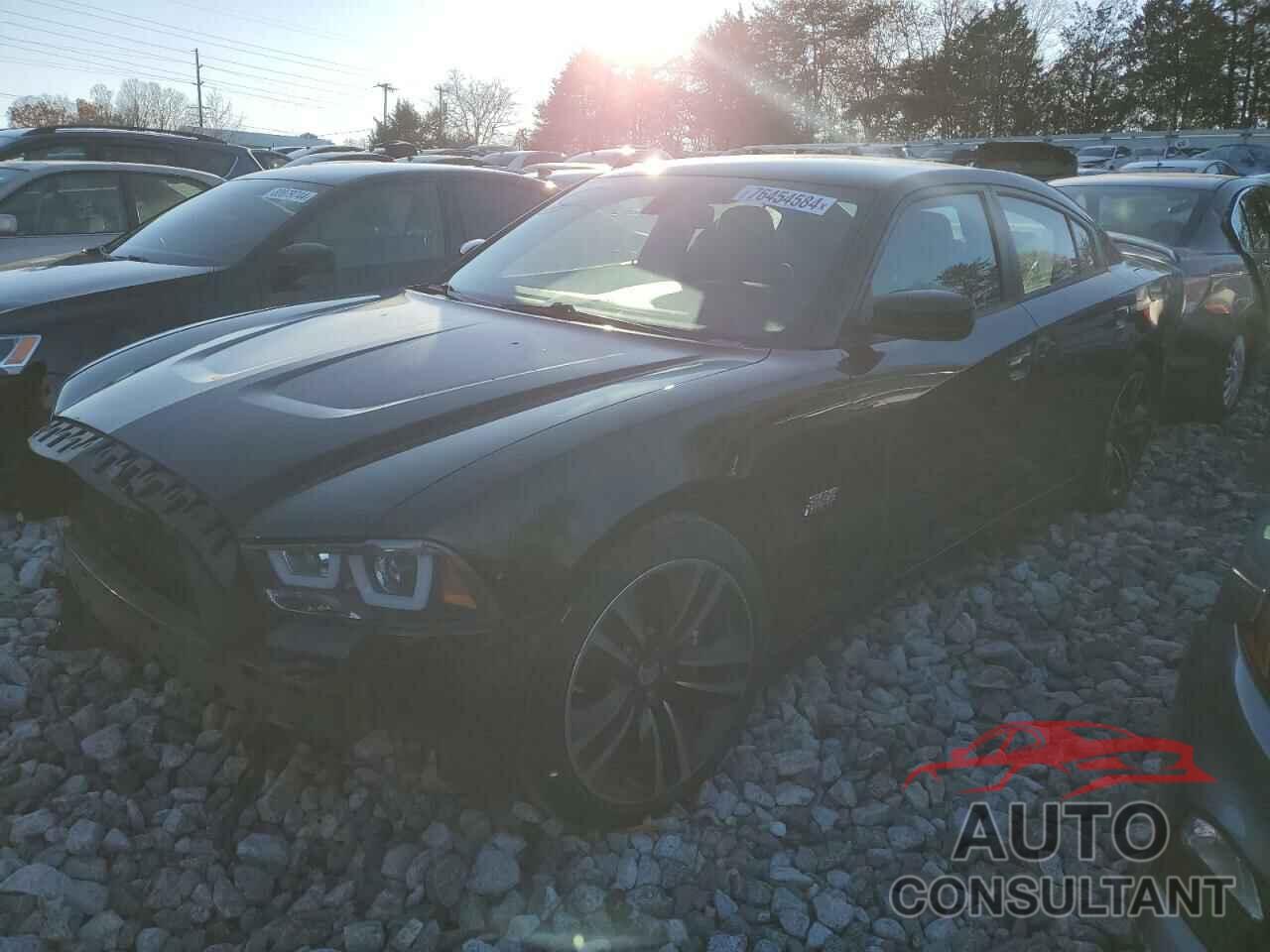 DODGE CHARGER 2013 - 2C3CDXGJXDH532189