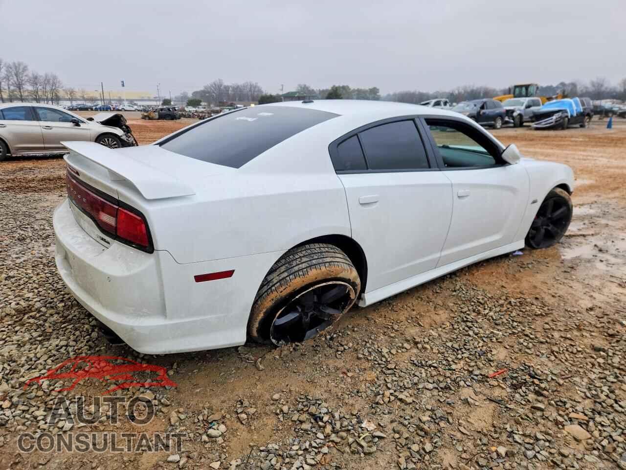 DODGE CHARGER 2013 - 2C3CDXEJ4DH586896