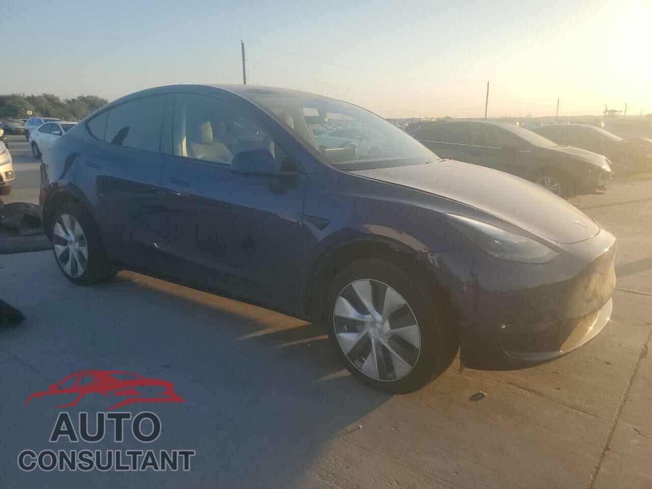 TESLA MODEL Y 2024 - 7SAYGAEE6RF020151