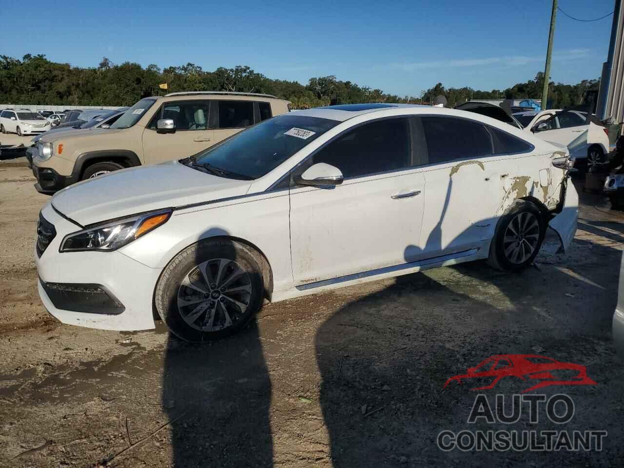HYUNDAI SONATA 2016 - 5NPE34AF6GH436534