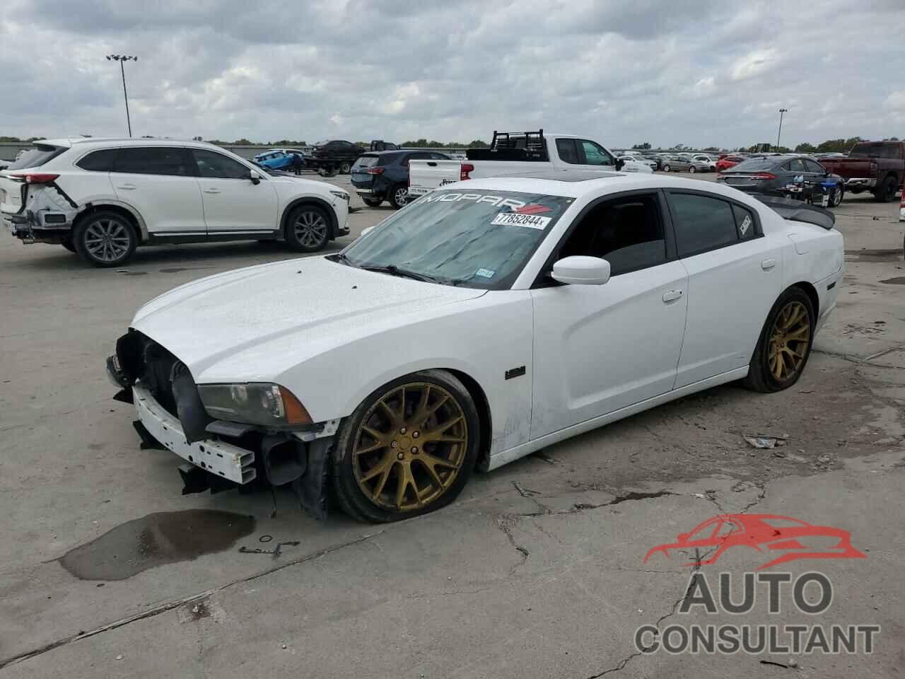 DODGE CHARGER 2014 - 2C3CDXCT7EH164837