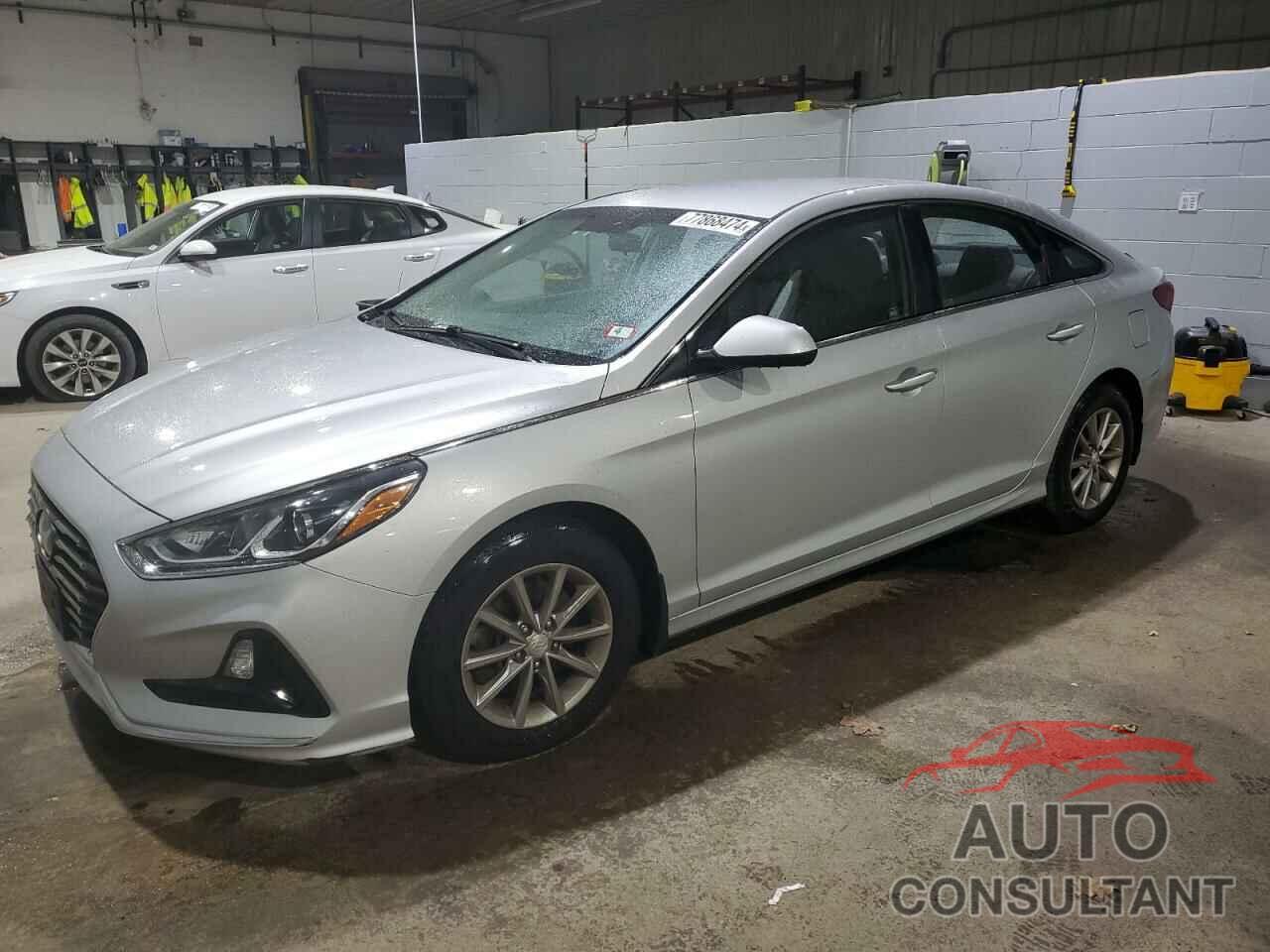 HYUNDAI SONATA 2019 - 5NPE24AF2KH796038