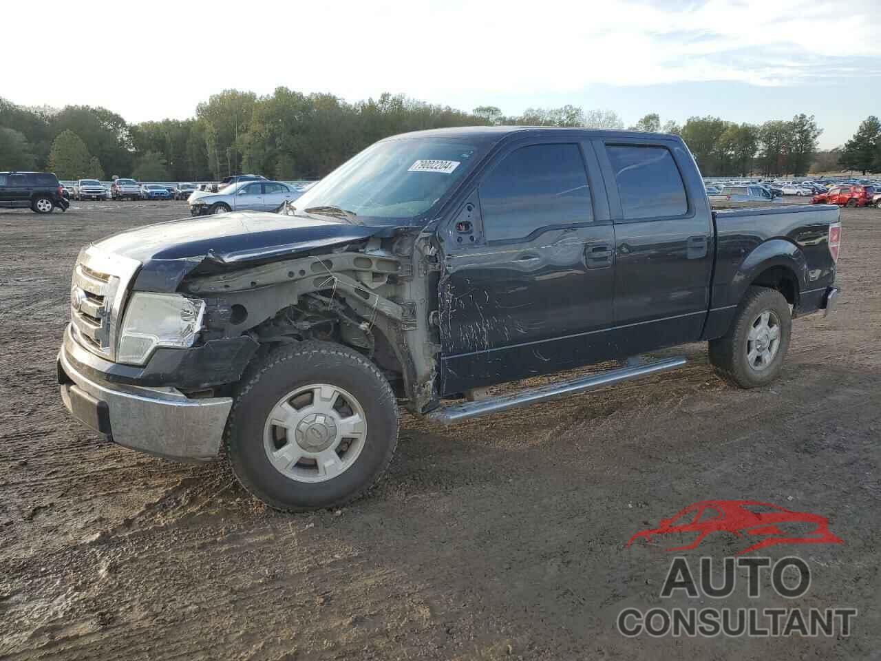 FORD F-150 2010 - 1FTEW1C83AFA90125