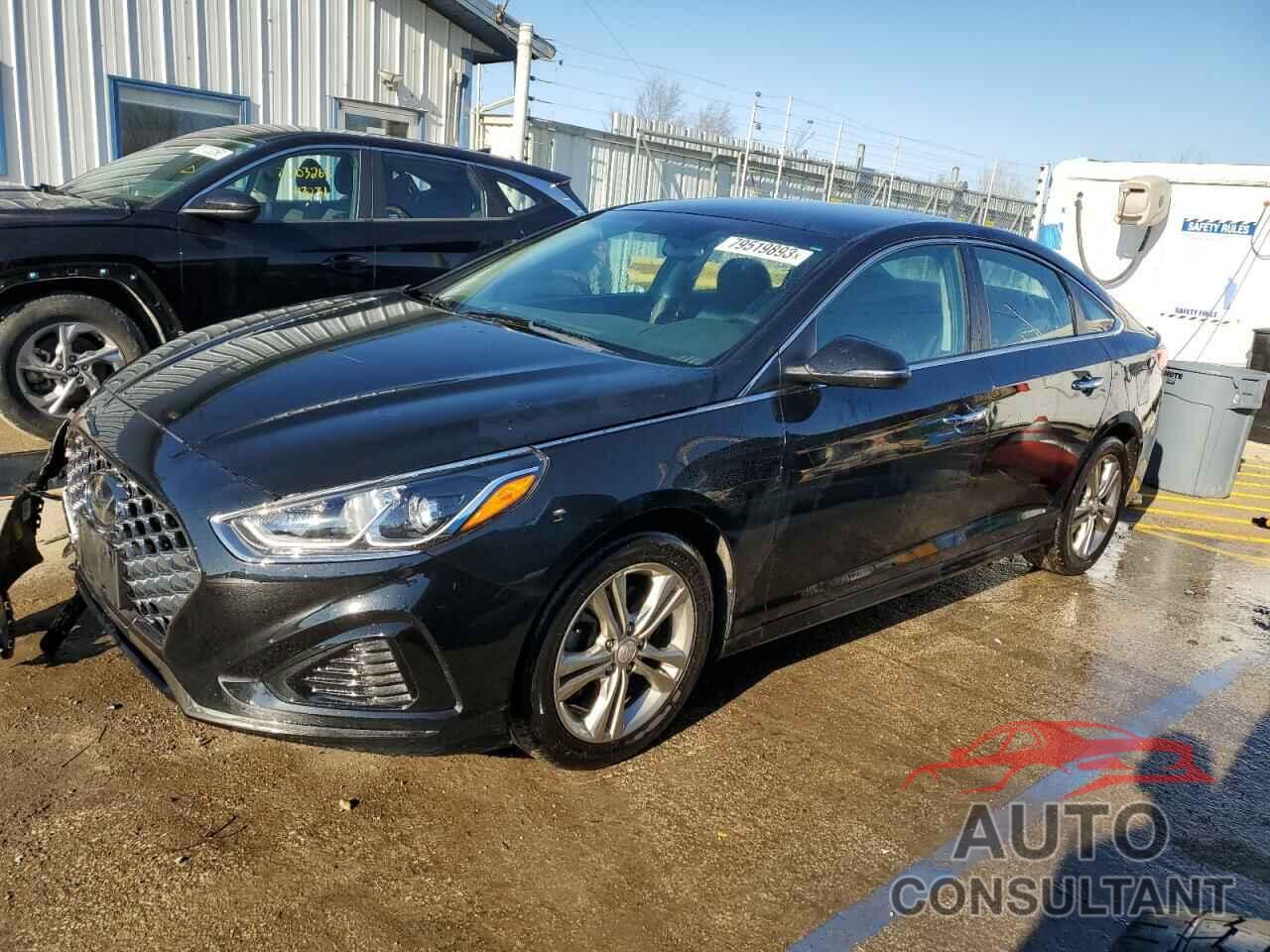 HYUNDAI SONATA 2019 - 5NPE34AF4KH762227