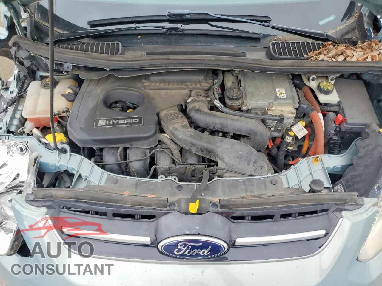 FORD C-MAX 2014 - 1FADP5BU5EL506090
