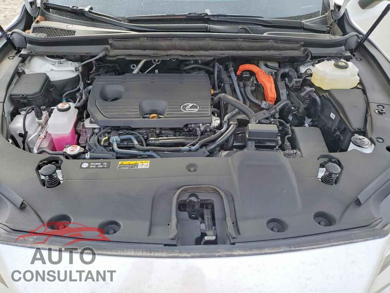 LEXUS UNKNOWN 2025 - 2T2BBMCA5SC093004