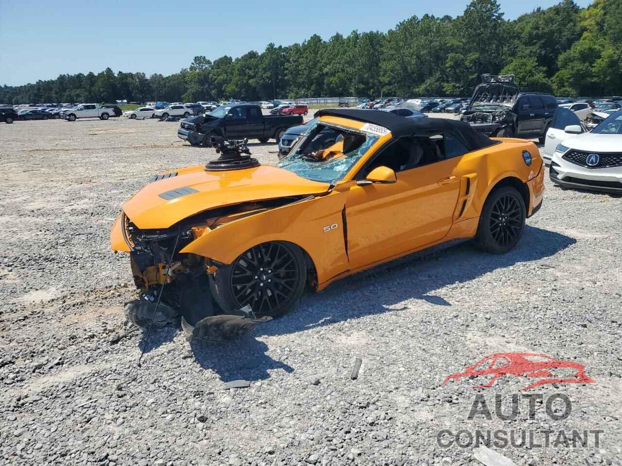 FORD MUSTANG 2019 - 1FATP8FF3K5195543