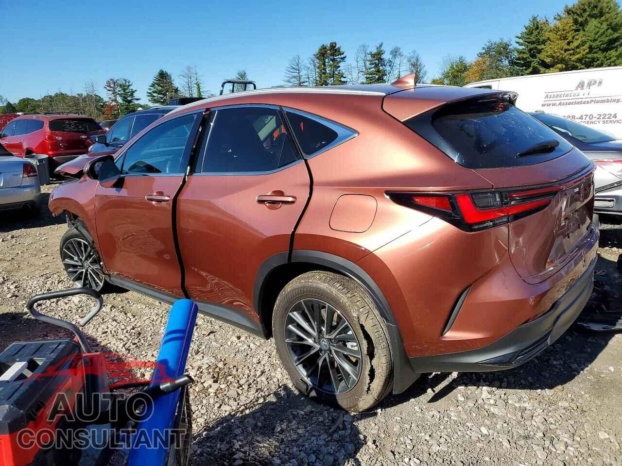 LEXUS NX 2026 - 2T2GKCEZXTC071018