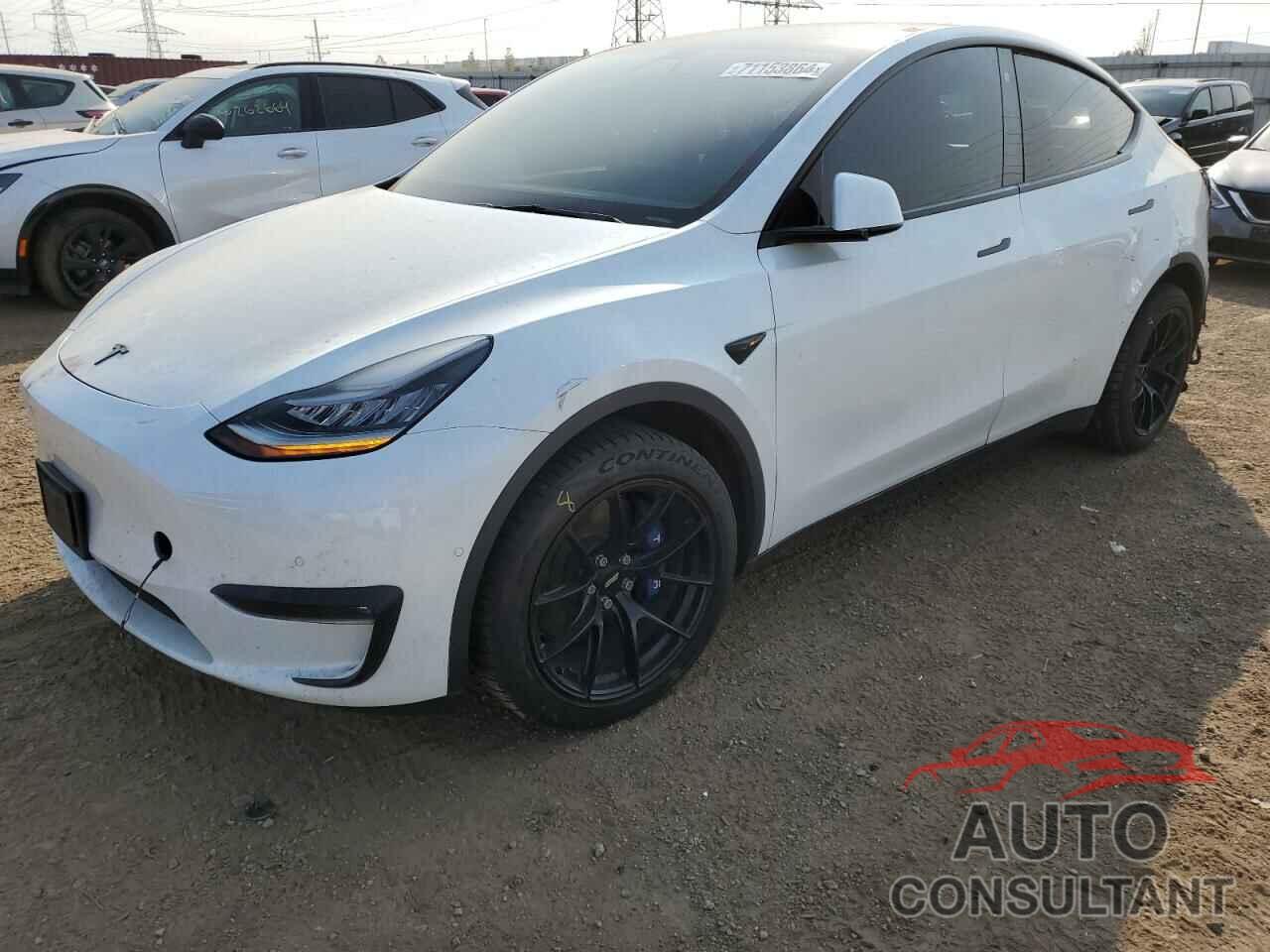 TESLA MODEL Y 2021 - 5YJYGDEE3MF138956