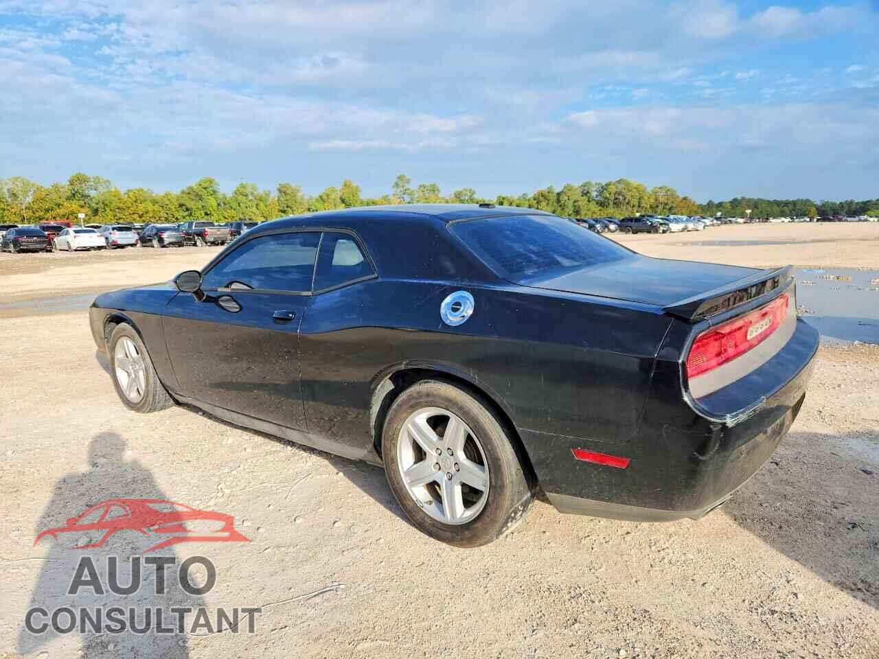 DODGE CHALLENGER 2013 - 2C3CDYAG7DH612245