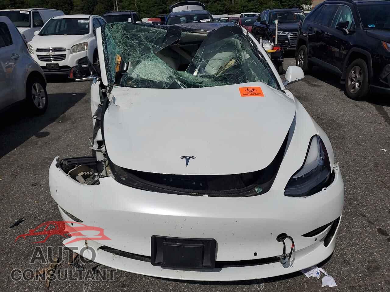 TESLA MODEL 3 2018 - 5YJ3E1EB6JF122475