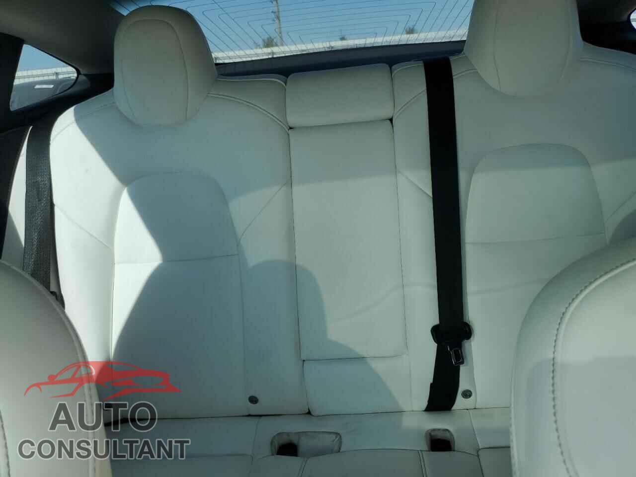 TESLA MODEL 3 2019 - 5YJ3E1EB9KF393354