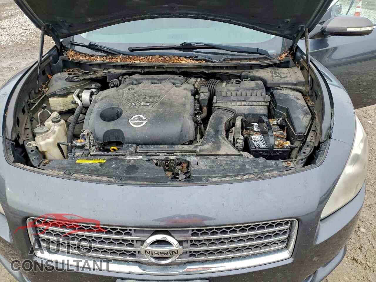 NISSAN MAXIMA 2011 - 1N4AA5AP1BC818984