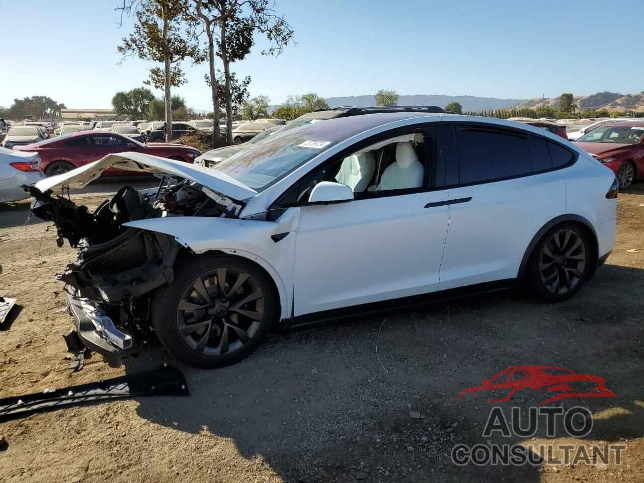 TESLA MODEL X 2024 - 7SAXCBE54RF443792