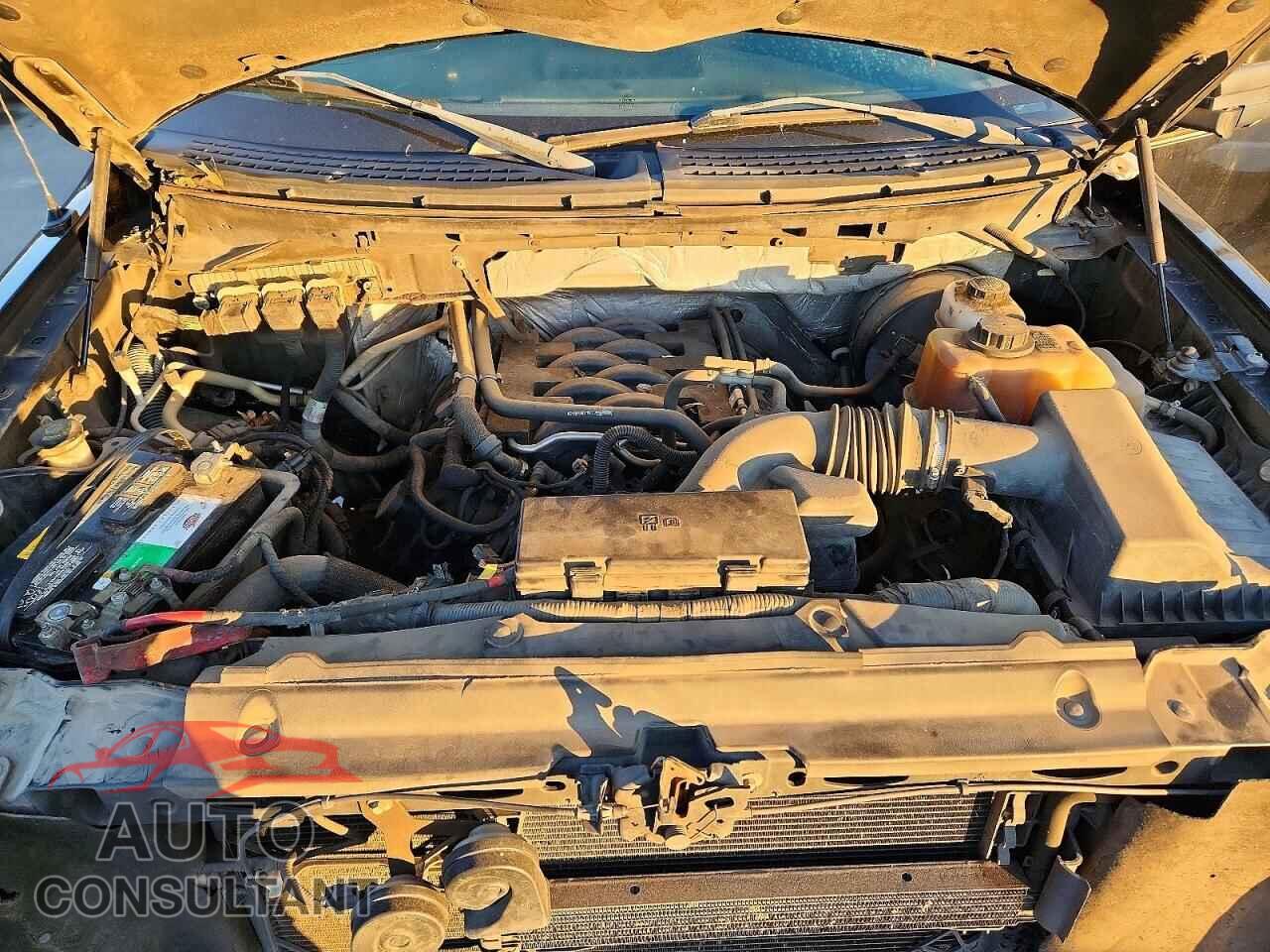 FORD F150 2011 - 1FTFW1CFXBFC64471
