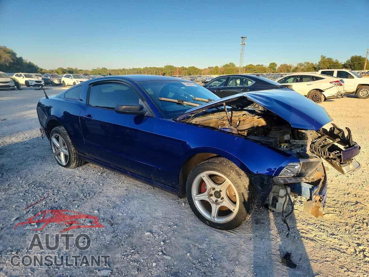 FORD MUSTANG 2014 - 1ZVBP8AM2E5257012
