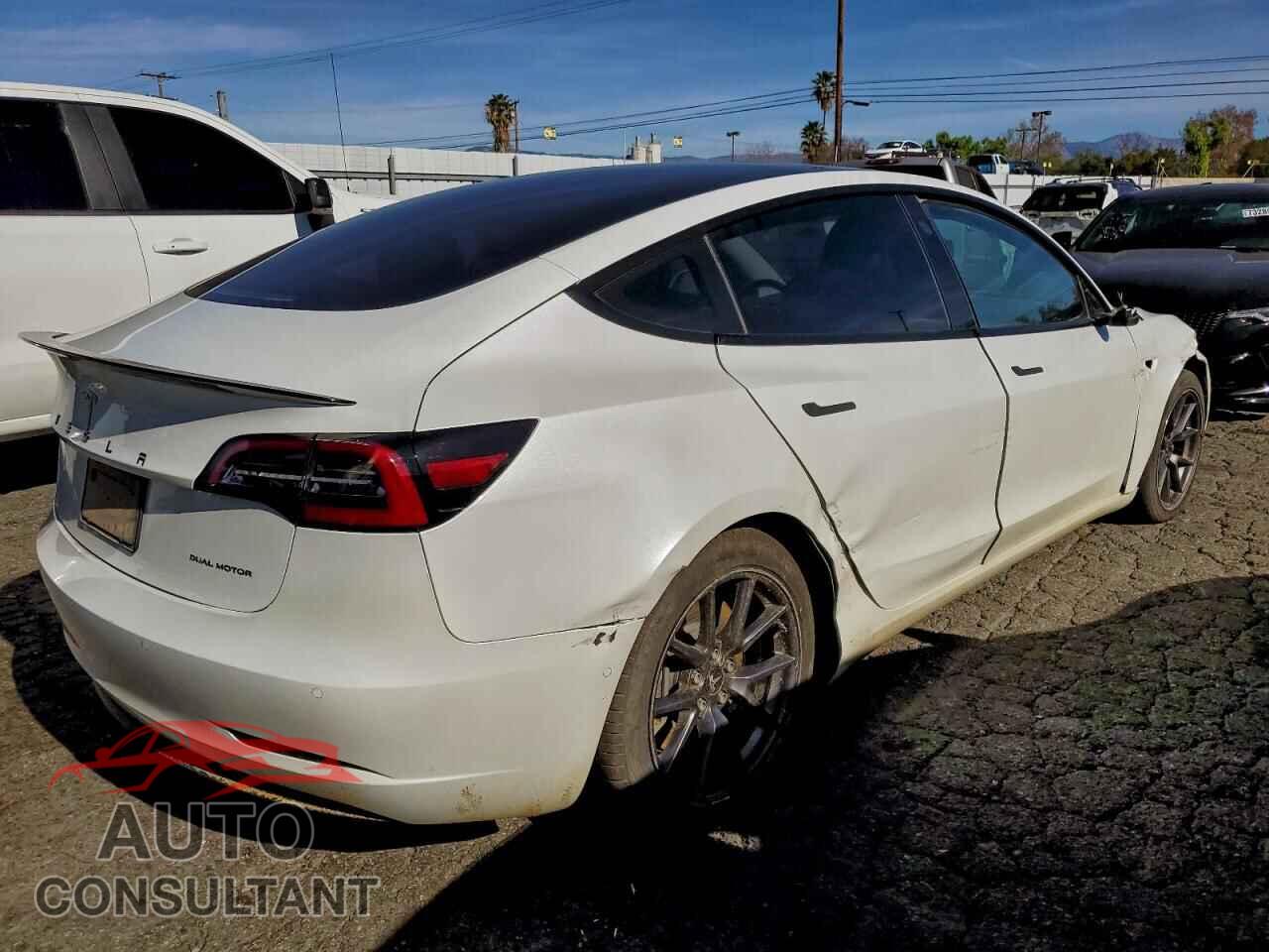 TESLA MODEL 3 2021 - 5YJ3E1EB0MF879103