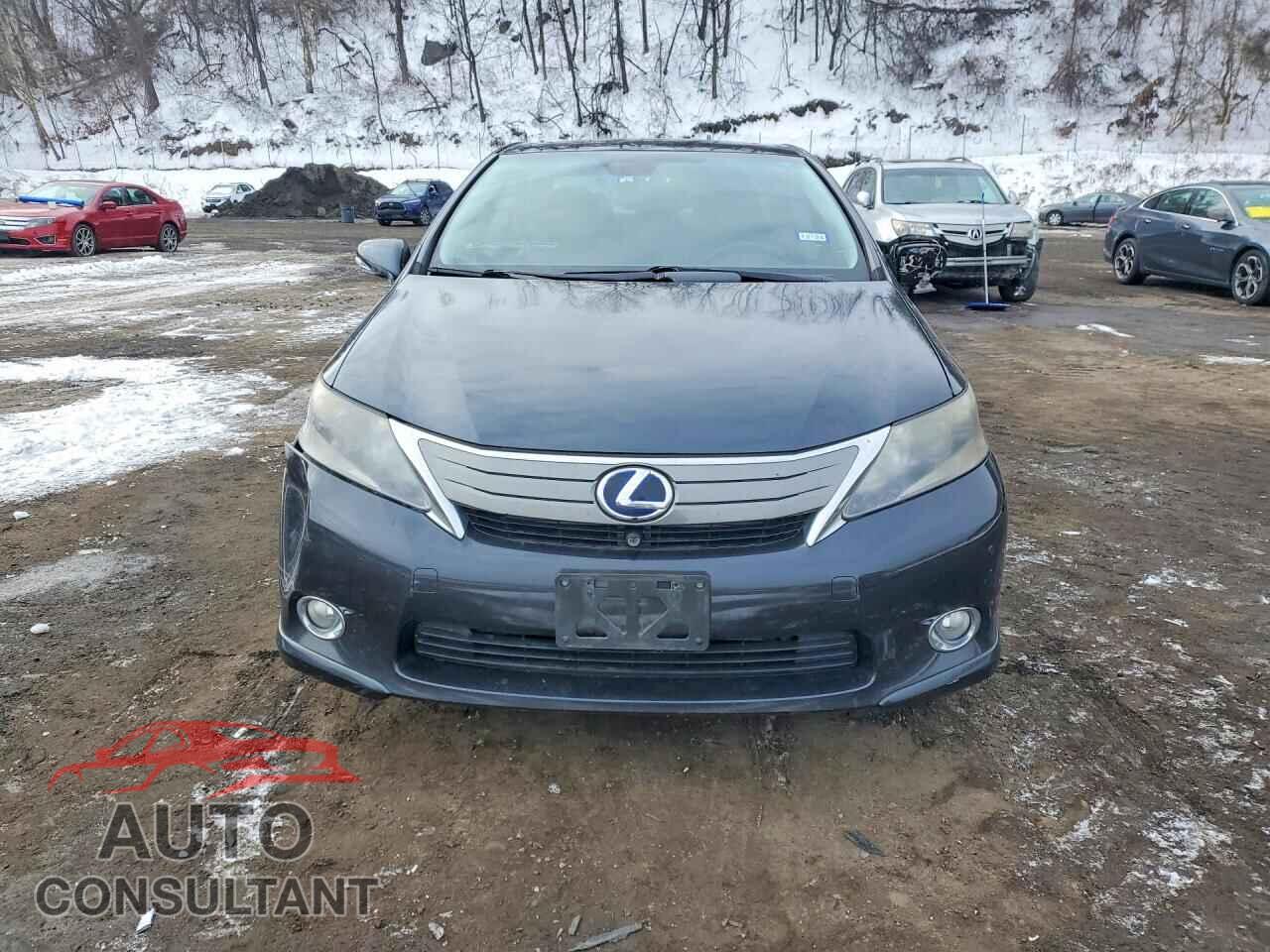LEXUS HS 2010 - JTHBB1BA1A2020440