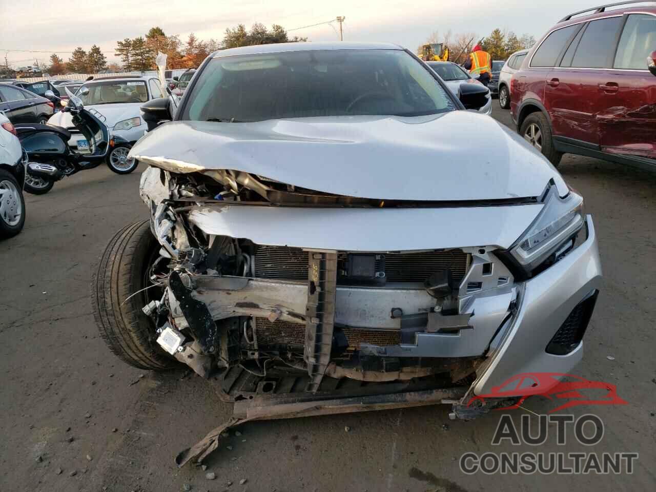 NISSAN MAXIMA 2019 - 1N4AA6AV6KC365644