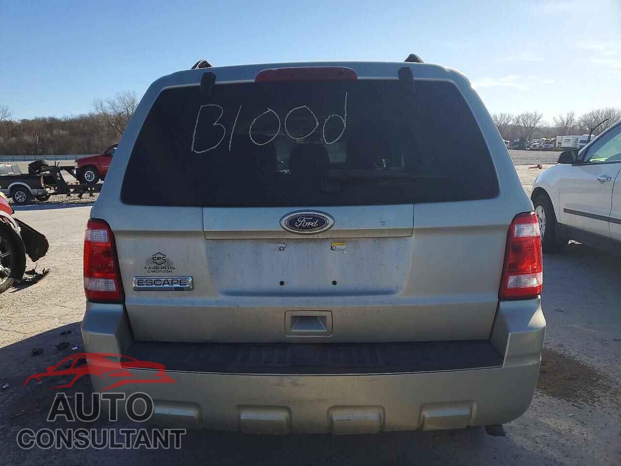 FORD ESCAPE 2010 - 1FMCU9D73AKD45831