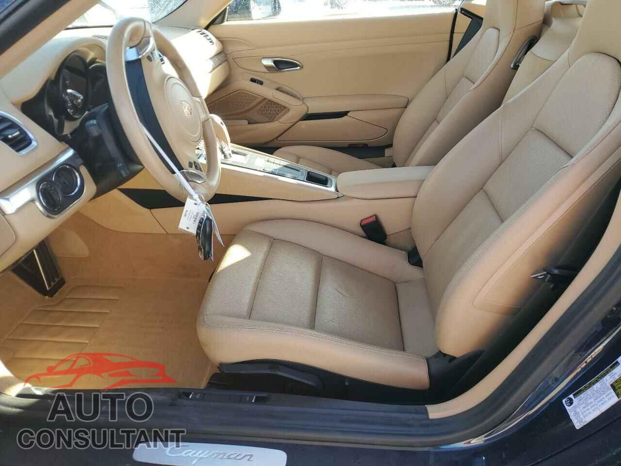 PORSCHE CAYMAN 2014 - WP0AA2A8XEK173067