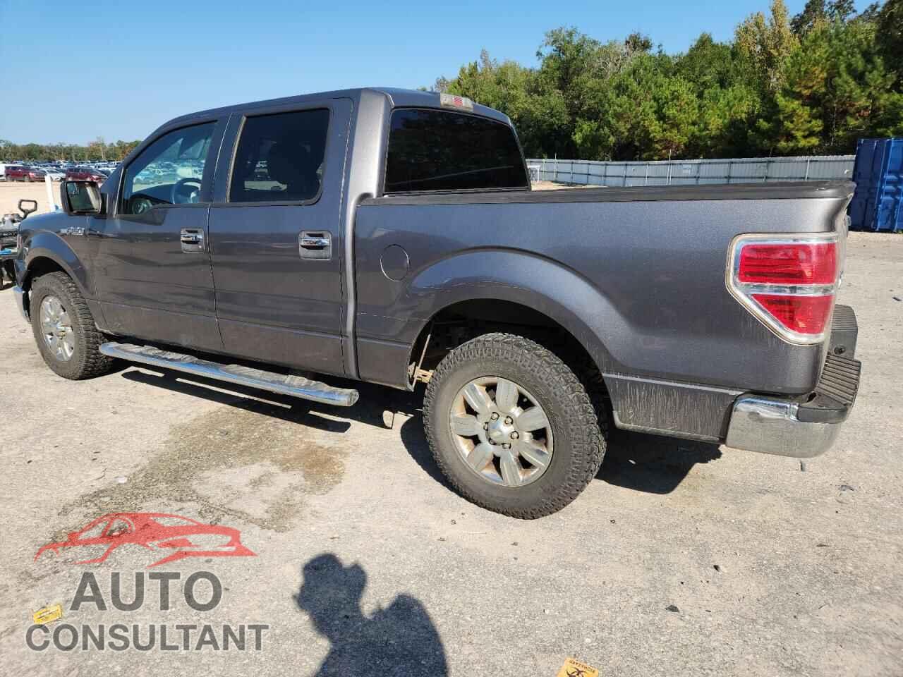 FORD F-150 2011 - 1FTFW1CF2BFA55368