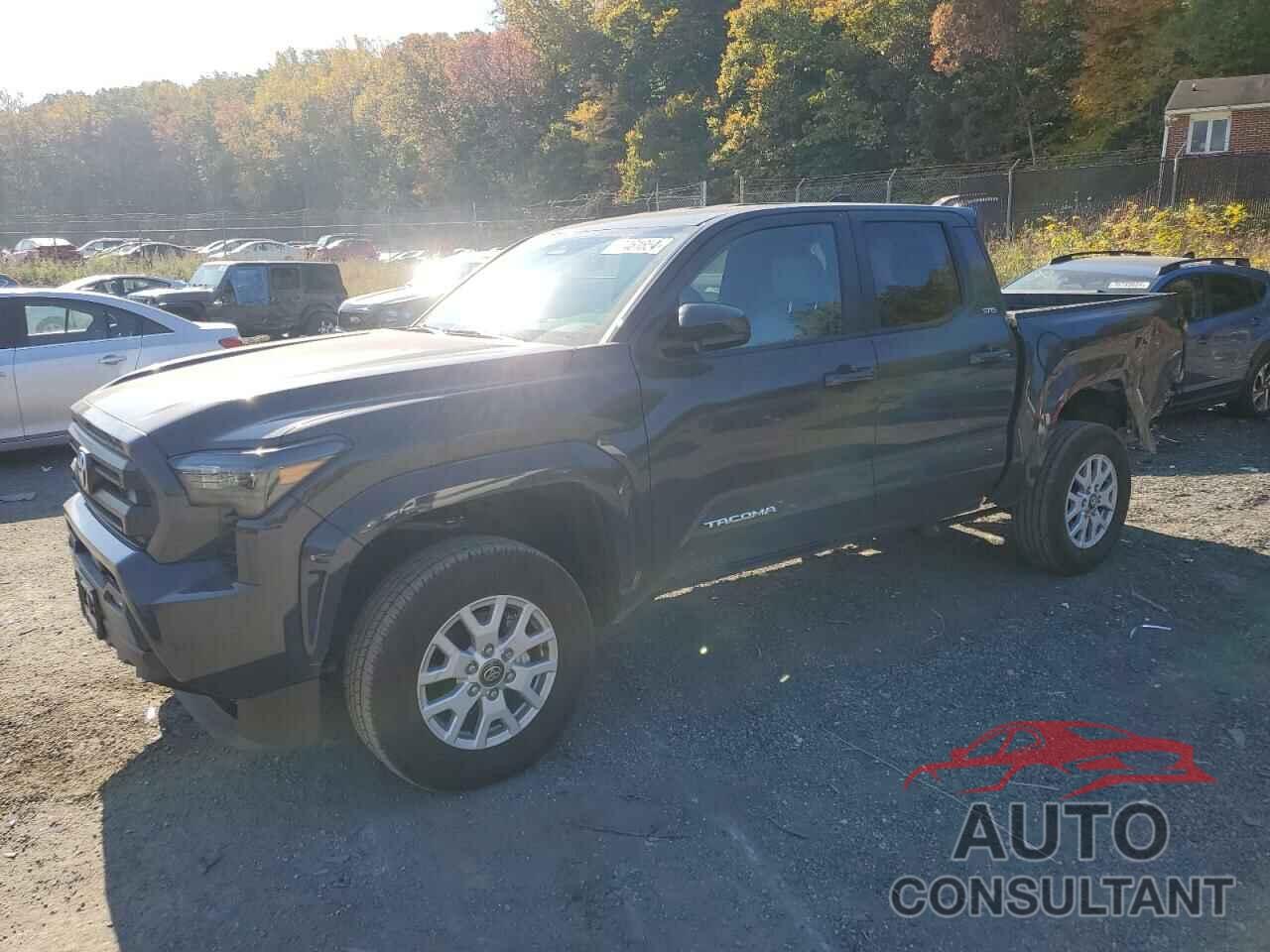 TOYOTA TACOMA 2024 - 3TMLB5JNXRM037095