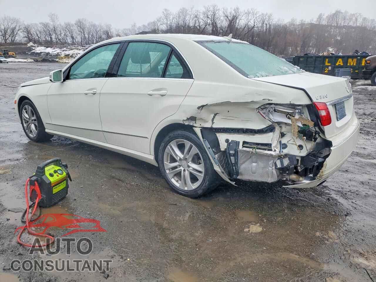 MERCEDES-BENZ E-CLASS 2010 - WDDHF8HB7AA090271