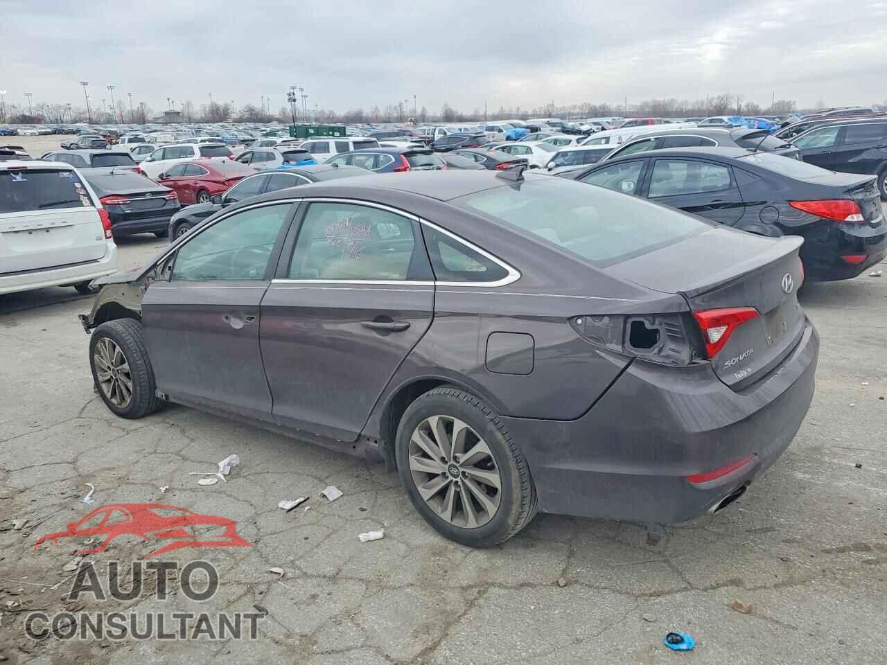 HYUNDAI SONATA 2017 - 5NPE34AF4HH451339