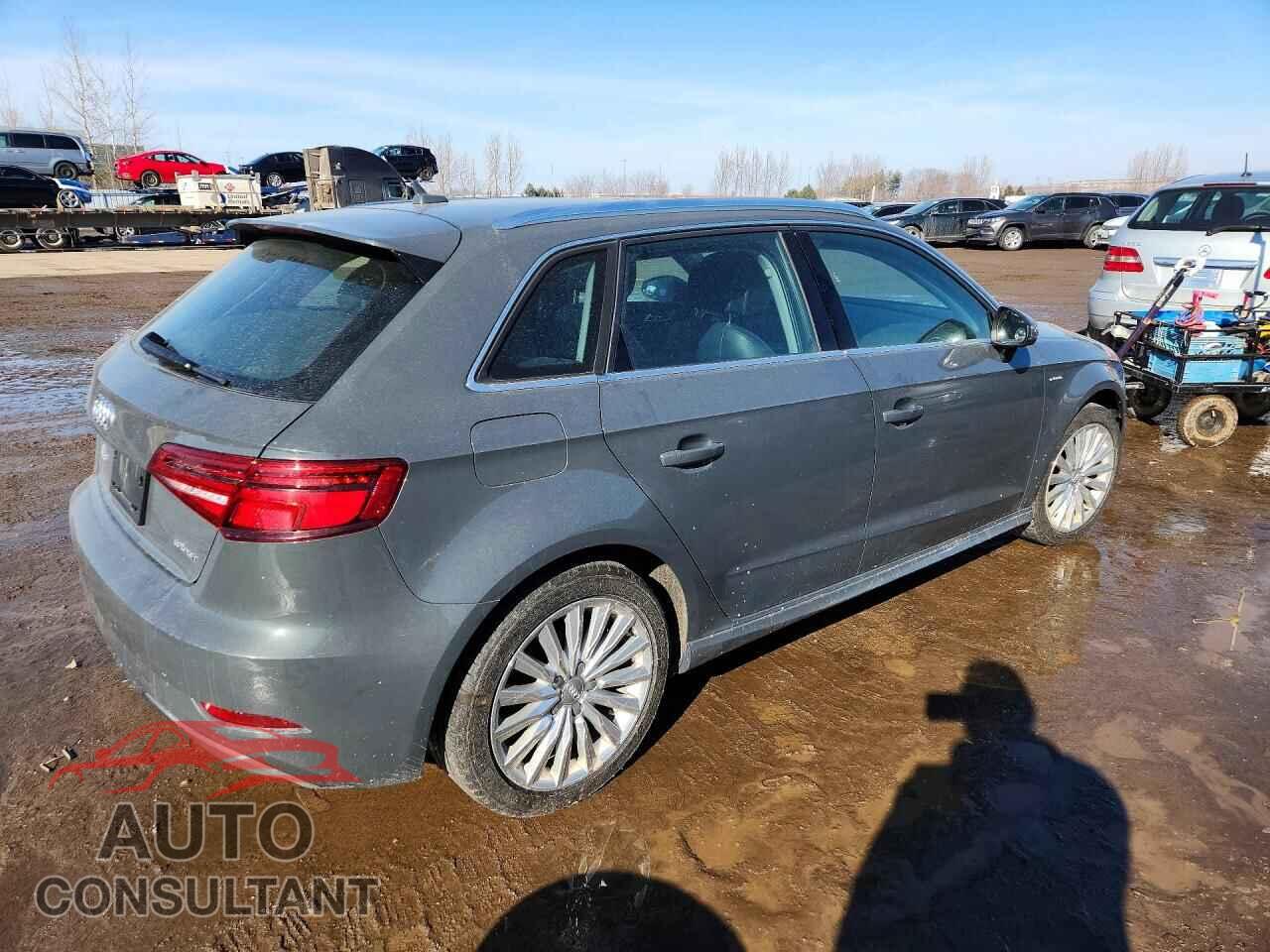 AUDI A3 2017 - WAUUPBFF0HA058181