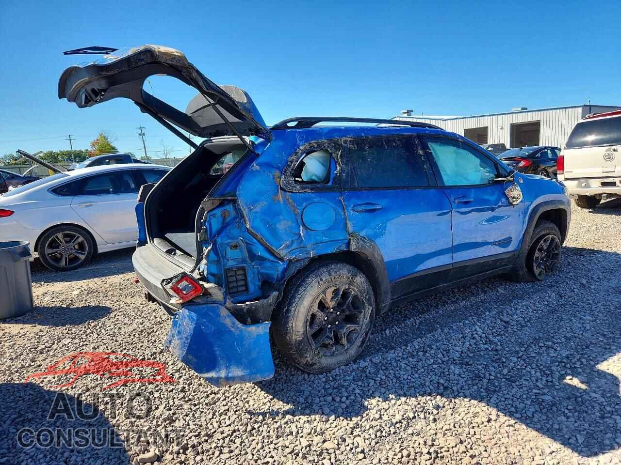 JEEP CHEROKEE 2020 - 1C4PJMBX4LD544155