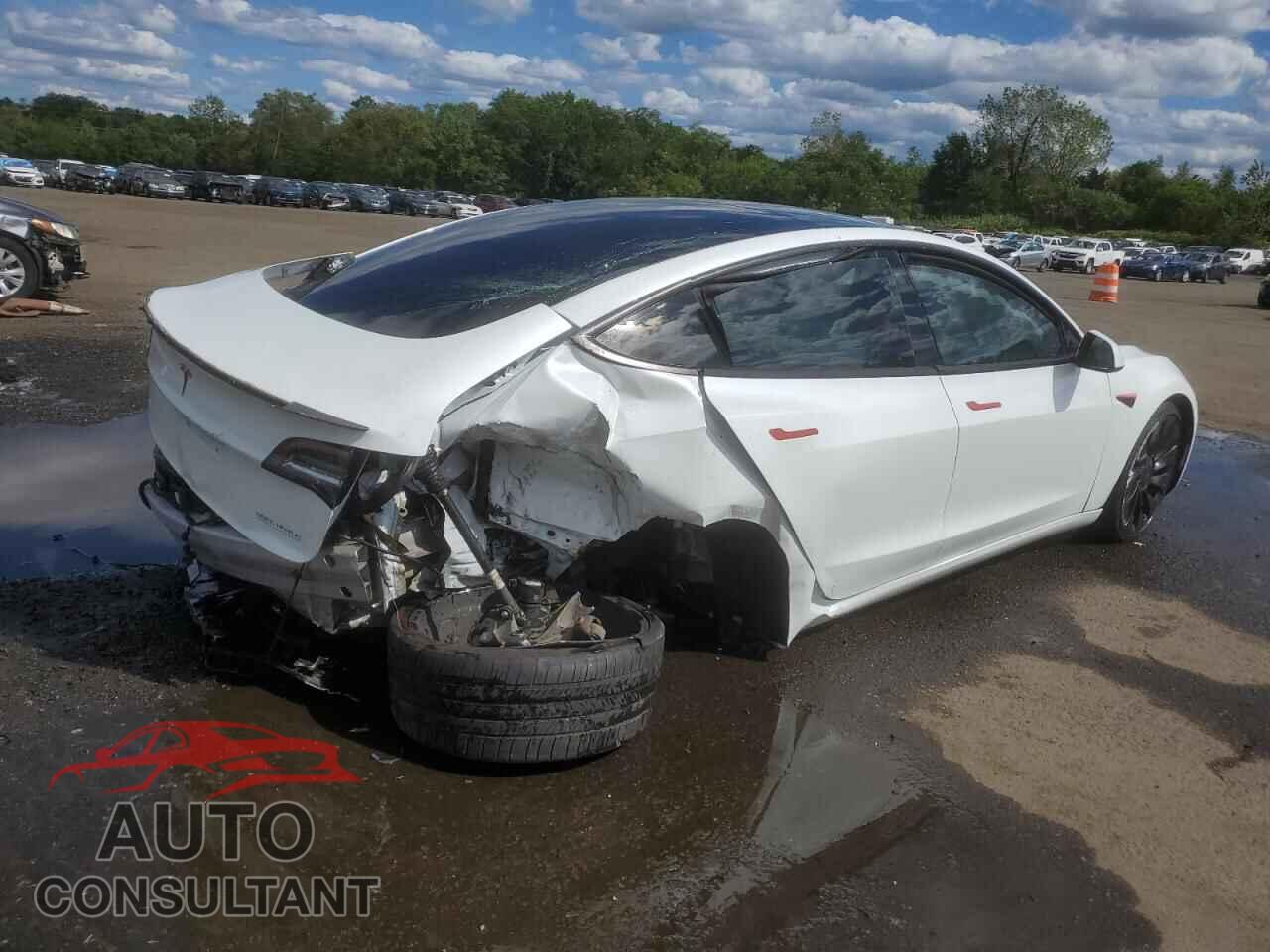 TESLA MODEL 3 2022 - 5YJ3E1EC4NF253709