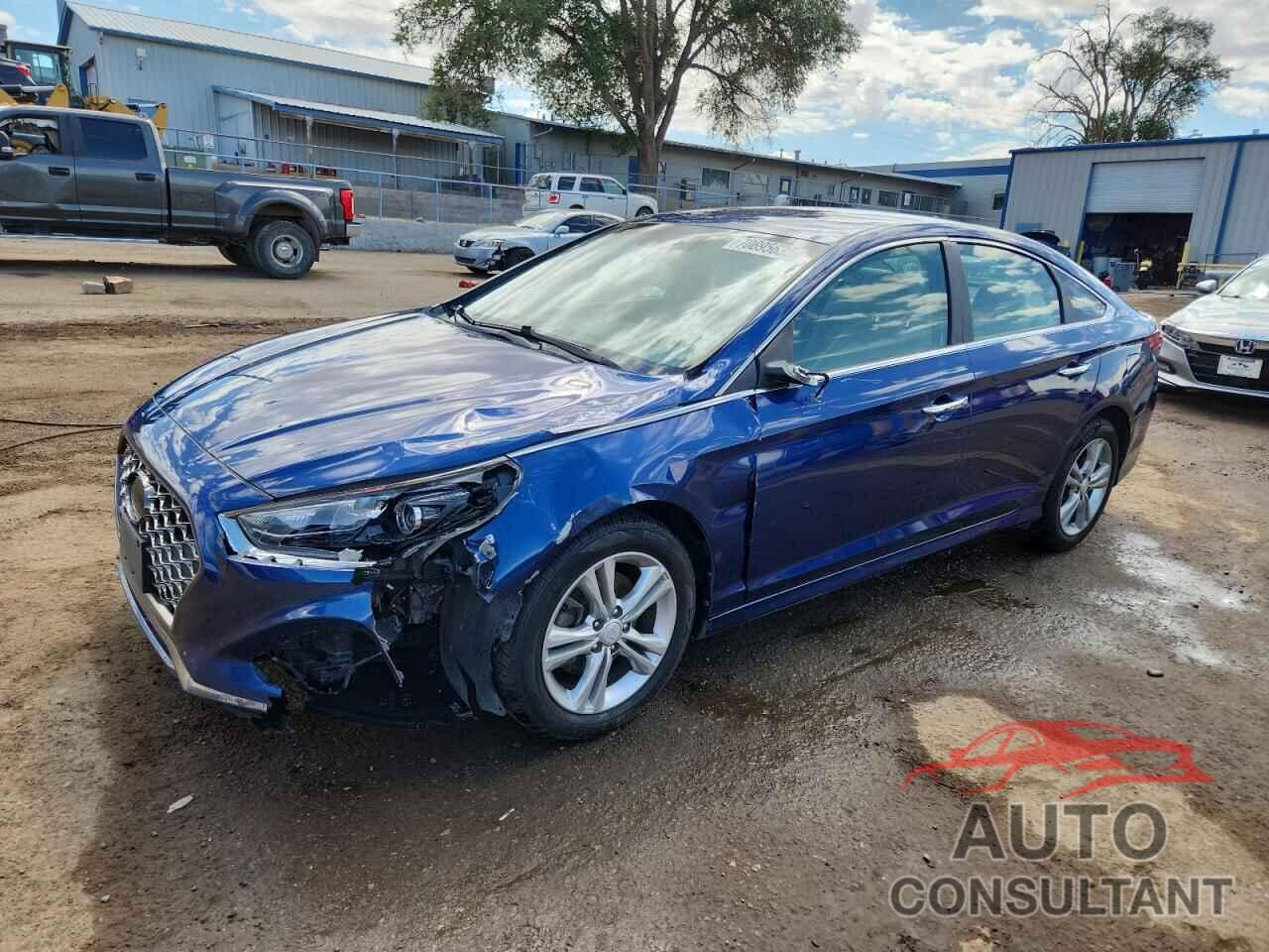 HYUNDAI SONATA 2019 - 5NPE34AF0KH790266