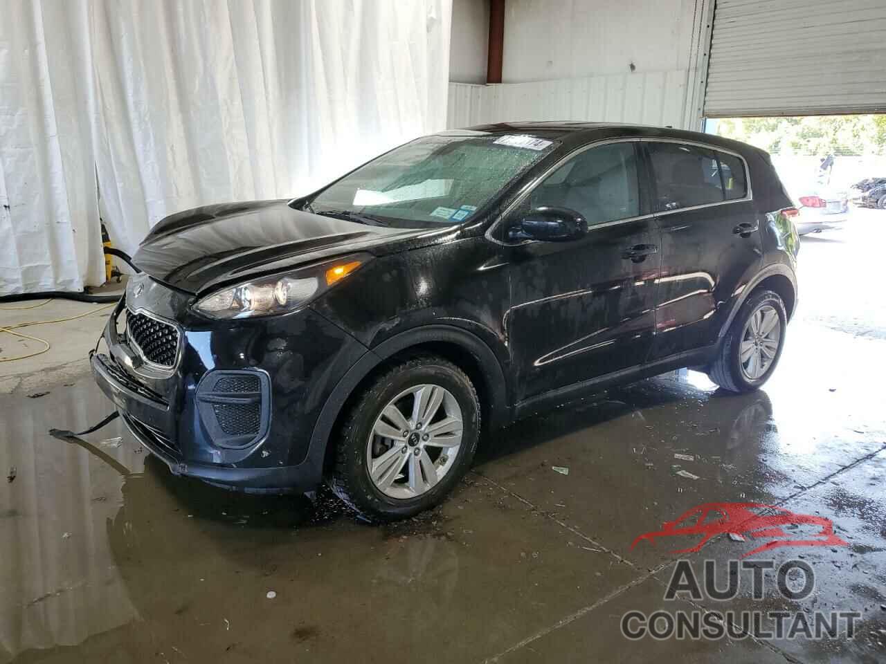 KIA SPORTAGE 2019 - KNDPM3AC7K7495188