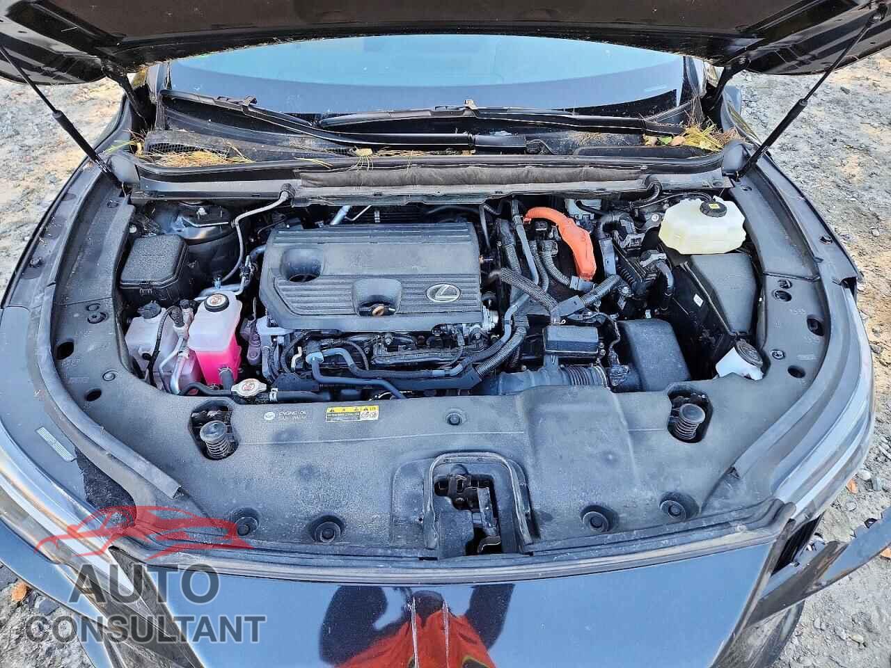 LEXUS RX350H 2024 - 2T2BBMCA3RC064157