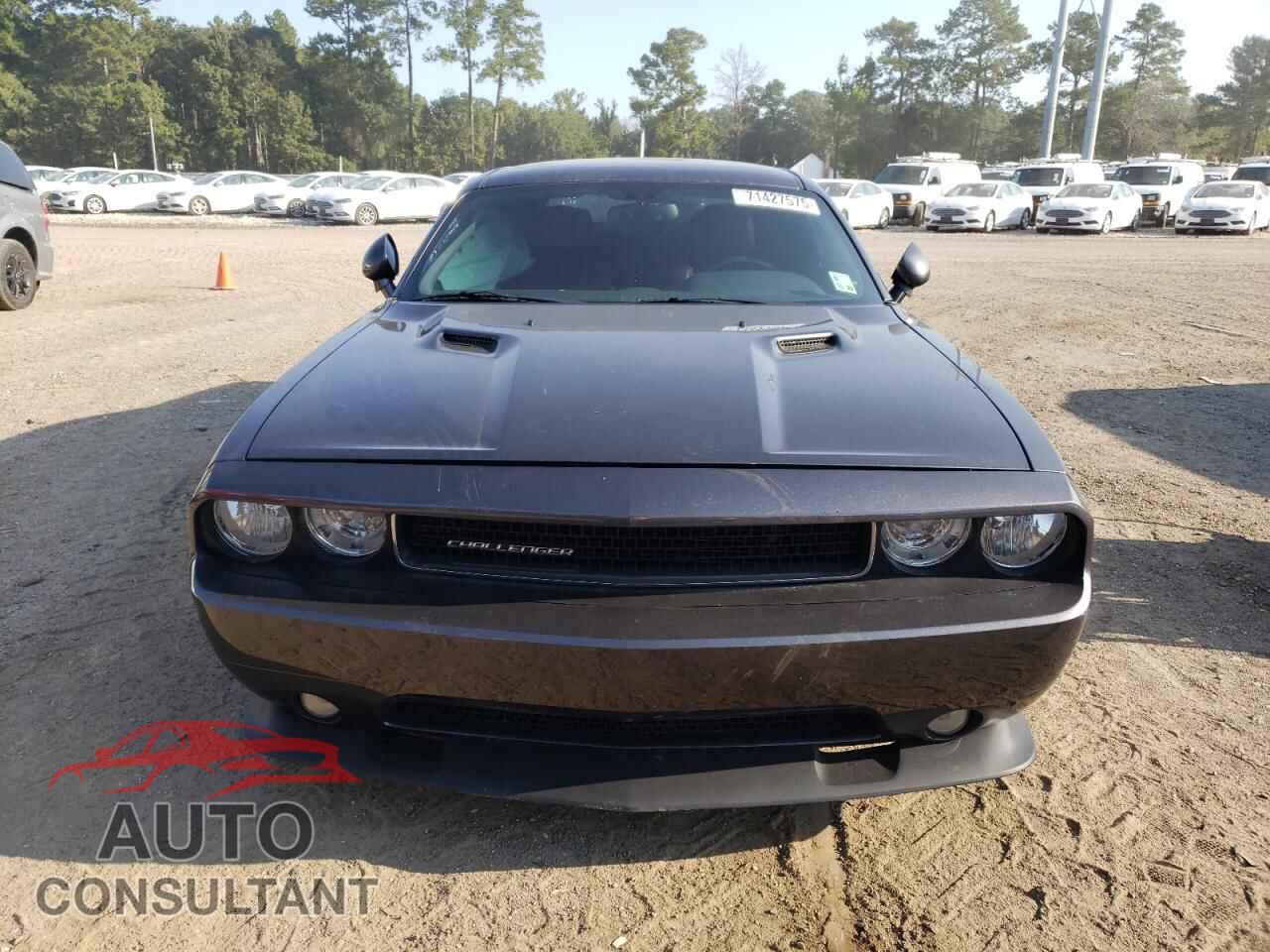 DODGE CHALLENGER 2014 - 2C3CDYAG8EH173560