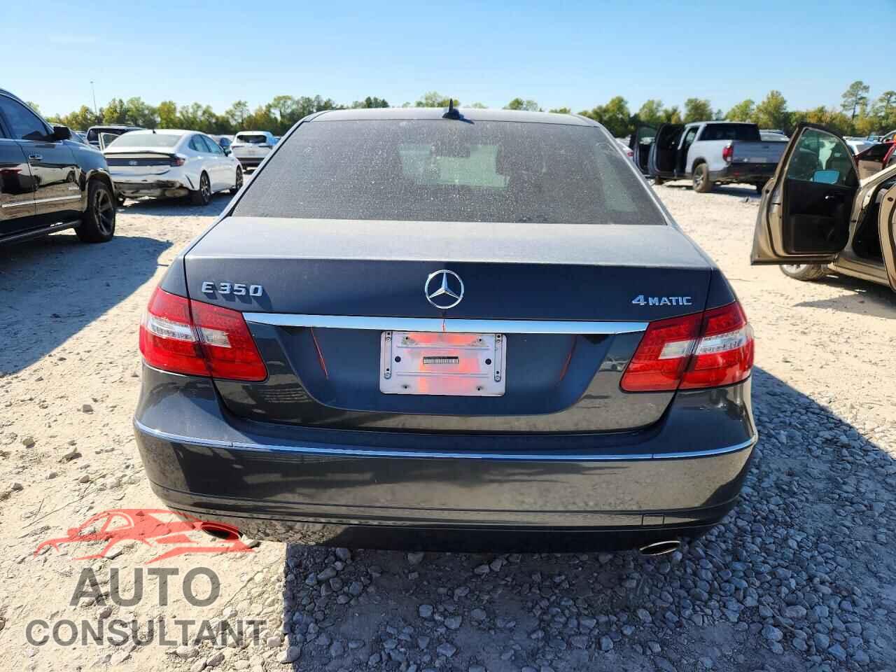 MERCEDES-BENZ E-CLASS 2013 - WDDHF8JB4DA676117
