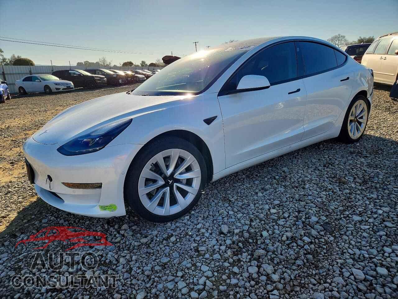 TESLA MODEL 3 2021 - 5YJ3E1EA3MF077183