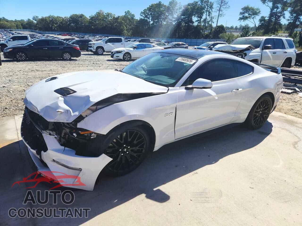 FORD MUSTANG 2020 - 1FA6P8CF2L5182673